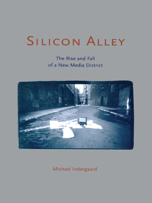cover image of Silicon Alley